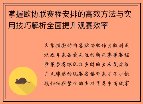 掌握欧协联赛程安排的高效方法与实用技巧解析全面提升观赛效率